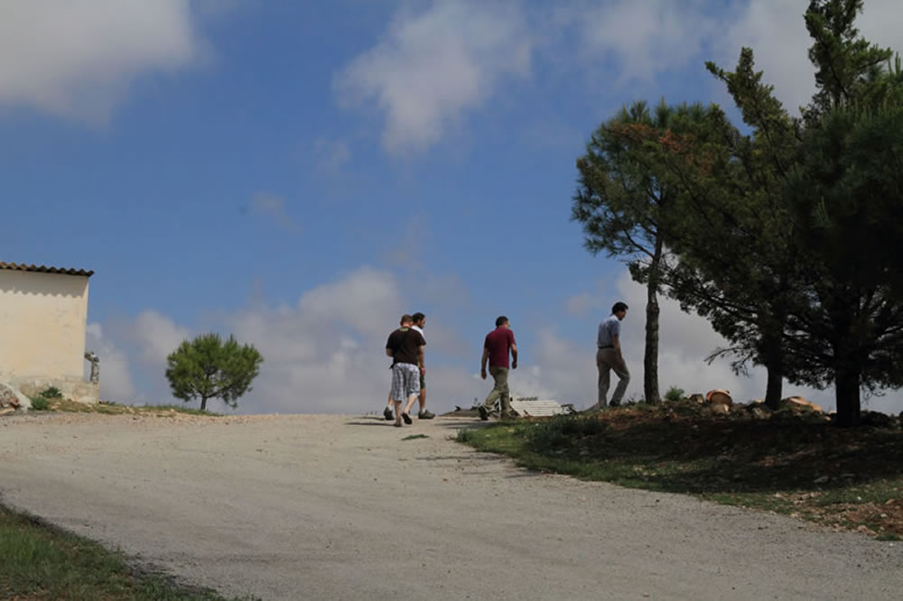 Caminando hacia los viñedos